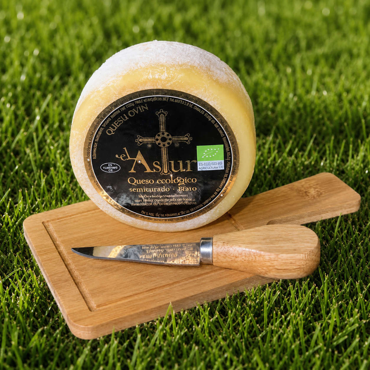 Queso Astur Ecológico