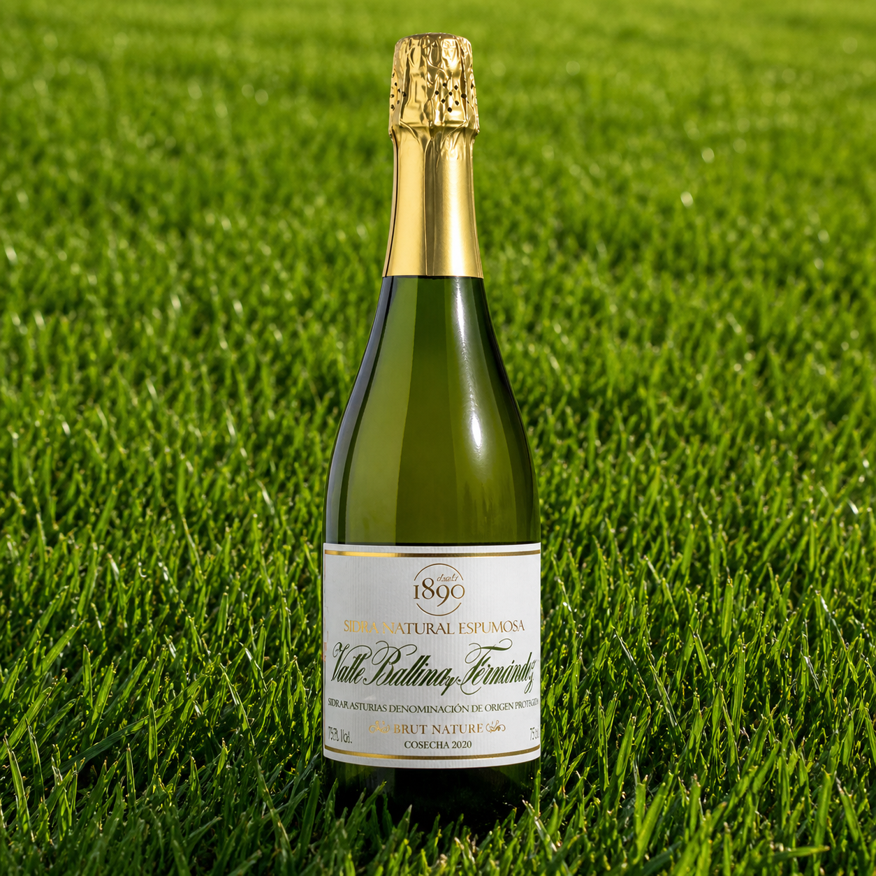 Sidra Valle, Ballina y Fernandez DOP magnum