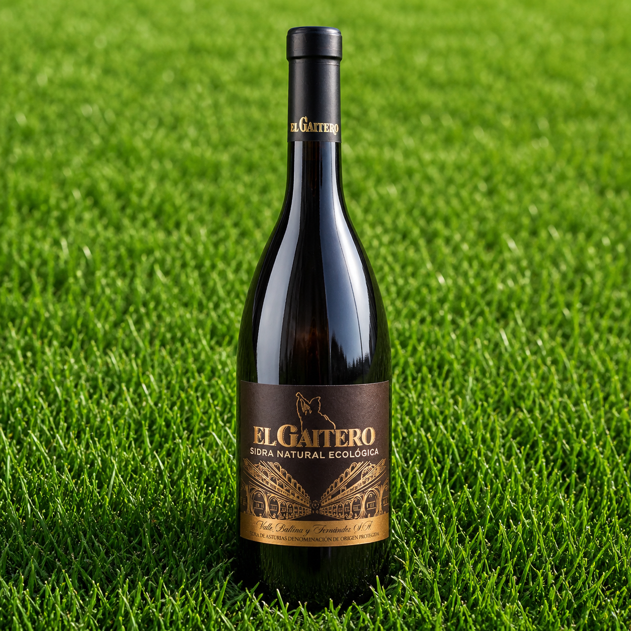 Sidra Natural Ecológica DOP El Gaitero