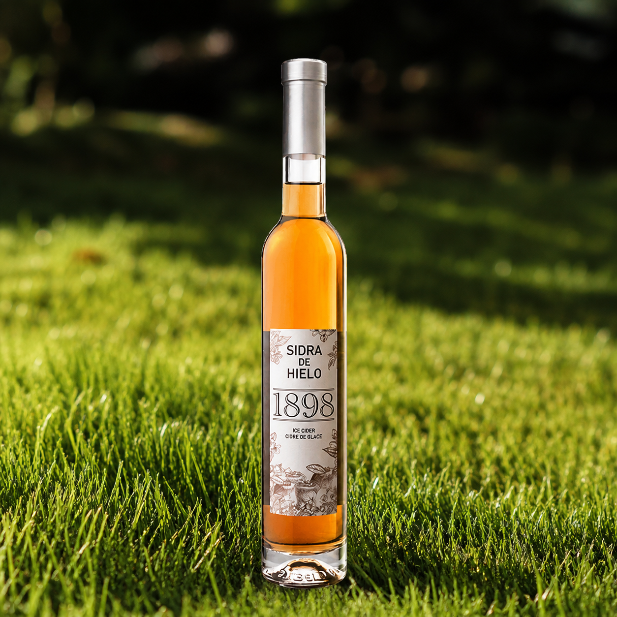 Sidra de Hielo 1898