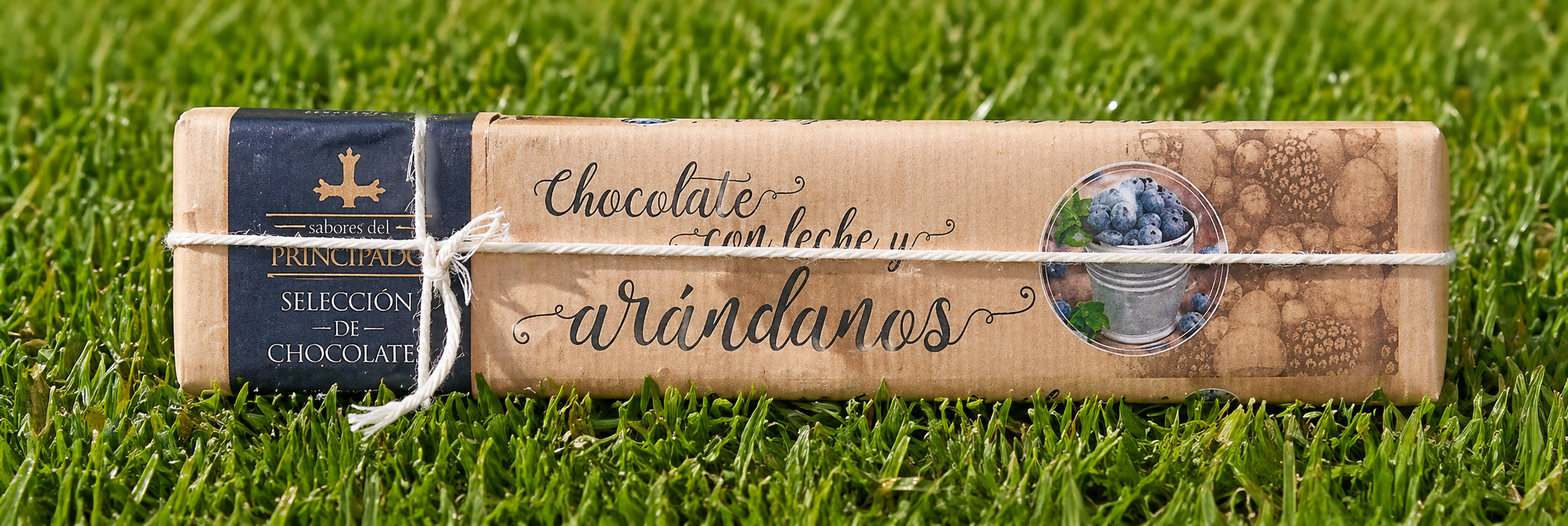 Chocolate con leche y arándanos