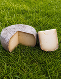 Queso Xerra